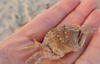 Ferienhaus Strandblick 13 - Foto 15