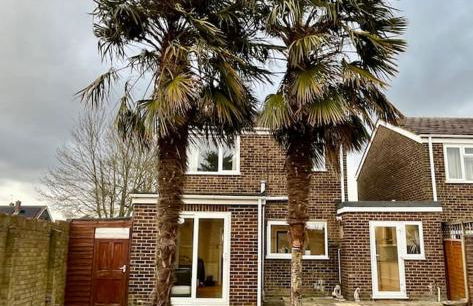 The Palm Tree House - Foto 22