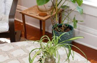 2BR 1BA Small Town Feel Pets Allowed - Foto 26