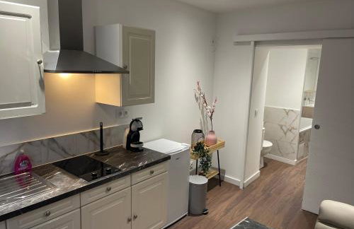 Les Appartements du Cep’t - Foto 24