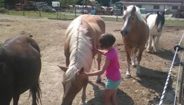 All'Antica Ruggine - Foto 5