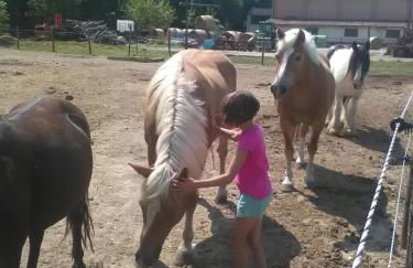 All'Antica Ruggine - Photo 5