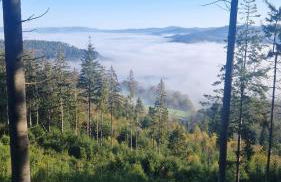 Gite châlet nature haute vosges - Foto 51
