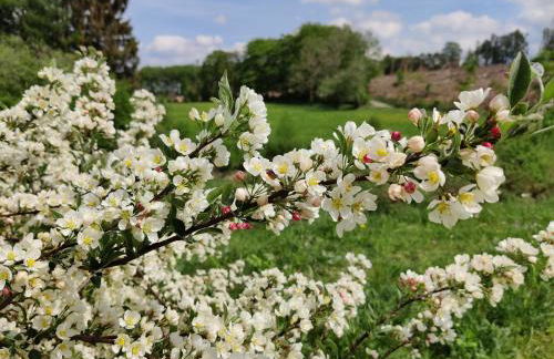 Ferienwohnung, 55qm - Foto 36