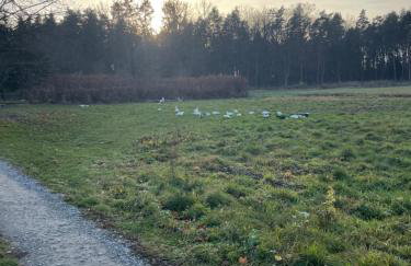 Gajówka Wiry - Foto 5