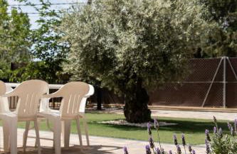 Casas rurales La Carrasca - Foto 73