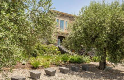 Sciaraviva - Foto 60