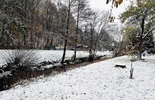 Holzhaus mit Kamin - Am Forellenfluss - Foto 34
