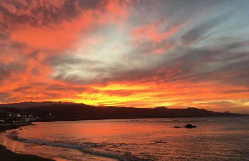 Paraiso 64 - Foto 16