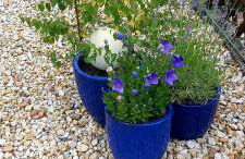 harzholiday - Foto 18