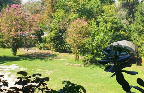 La DOGARESSA - Foto 3