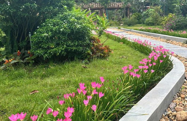 TRA LINH HOTEL - Foto 50