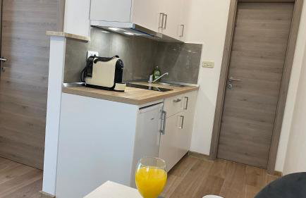 Apartment Komljenovic - Photo 61