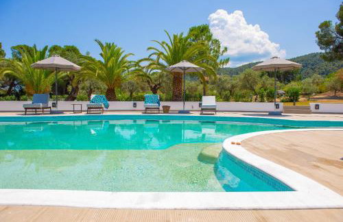 domus hospitality - Foto 12