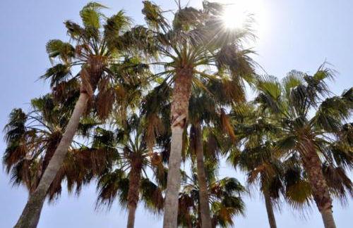 Family Beach Club Sevilla II - Photo 50