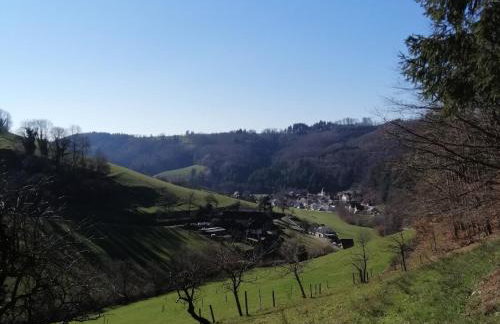 Ferienwohnung am Spielberg - Foto 15
