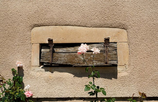 Recorrido privado de un día completo por los viñedos de Borgoña en un Land Rover clásico (Lyon) - Foto 4