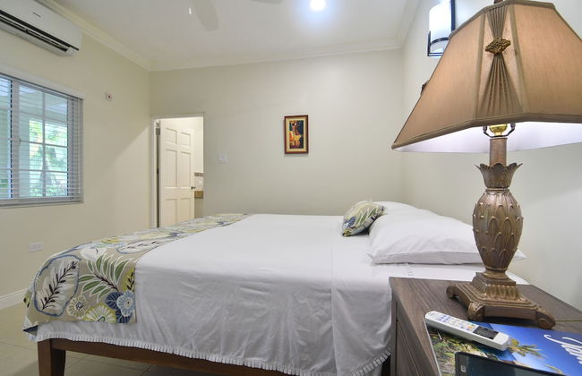 Centrally Located Guest Apartments III - Photo 14