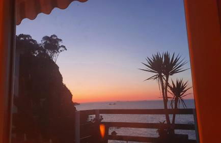 Pura vida Estaño - Foto 10