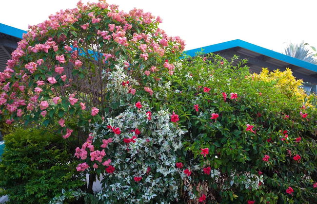 Trinity Beach Pacific - Photo 45