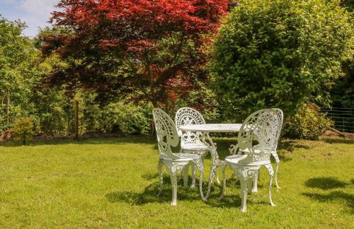 Where Families Reconnect And Dogs Truly Belong - Foto 11