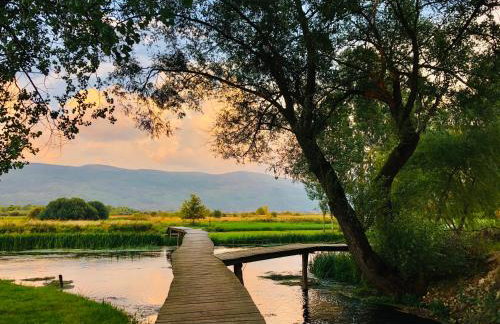 Holiday house "Mimoza" 2 massage pools - Foto 62