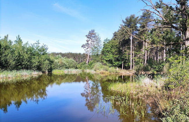 Herselt Garden Shed Retreat - Foto 41