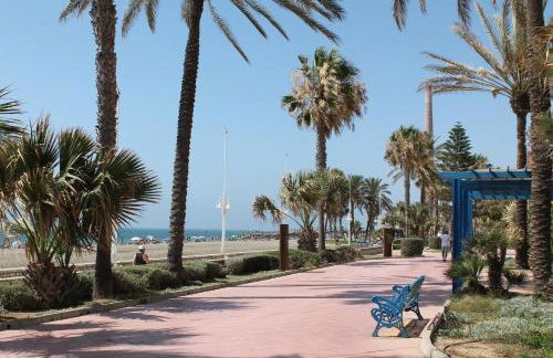 PACIFICO 18 - Photo 49