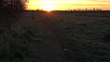 Pinewood #Edwinstowe - Foto 3