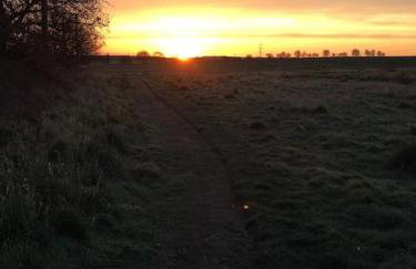 Pinewood #Edwinstowe - Foto 3