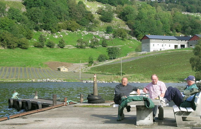 4 Person Holiday Home in Fister - Photo 13