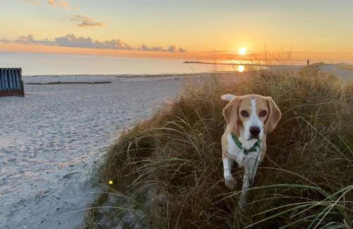 FeWo Ankerplatz mit Meerblick direkt am Strand - Foto 26