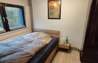 Blaues Haus - kleinere Doppelhaushälfte in Stadtkernnähe mit traumhaftem Bad und Küche - Foto 14