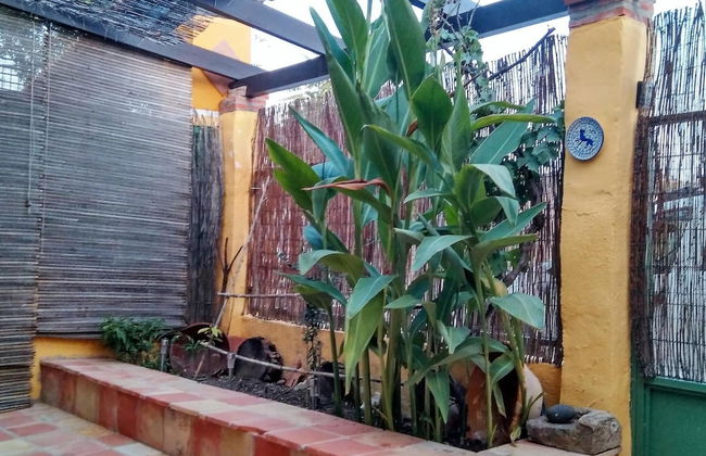 Magina Dream Pegalajar - Foto 64