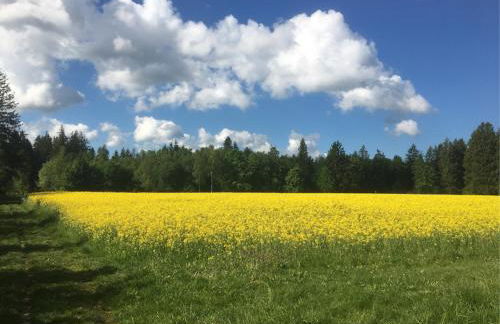 Landhof Sedlmair - Foto 32