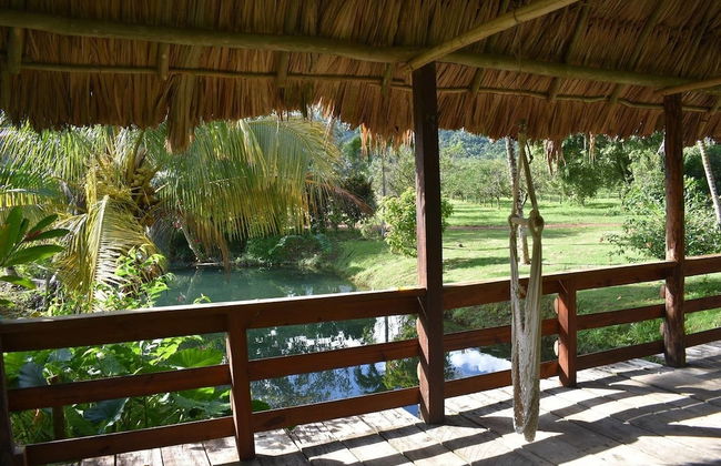 Orchard House - Photo 3