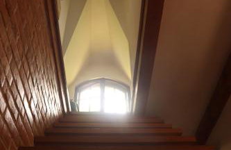 Birchy Hills - Foto 39