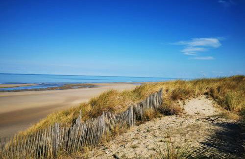 Appartement centre ville Stella-Plage terrasse sud-ouest - Foto 20