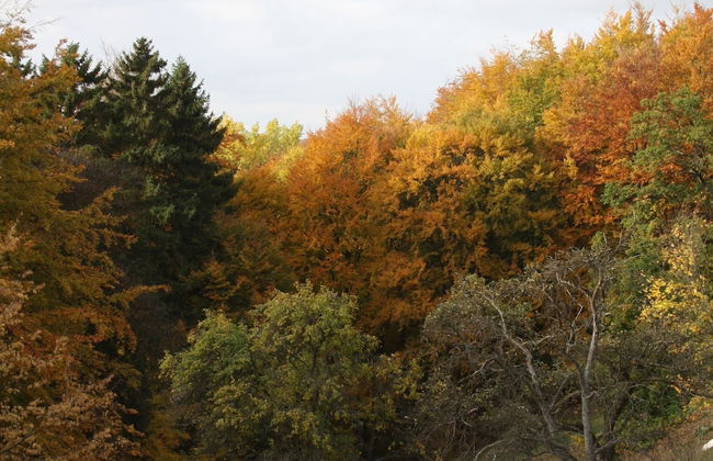 Eichenborn Gartenaufenthalt - Photo 36