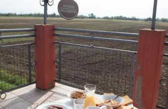 La Vigna Del Maestro - Foto 3