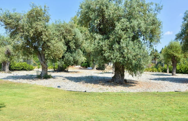 Luxury Rental Villa for 14 People - Foto 32