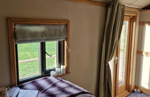 Cosy Owl - Shepherds Hut - Foto 11