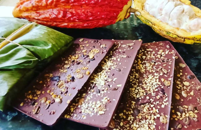 Tour do cacau por San Rafael - Foto 1