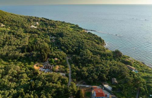 Ioanna's and Niko's Skala Apartments - Photo 56