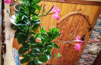 Casa rural Quevedo - Foto 71