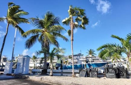 New Lagoon-front townhouse with Marina Day Dreams Key Largo - Foto 34