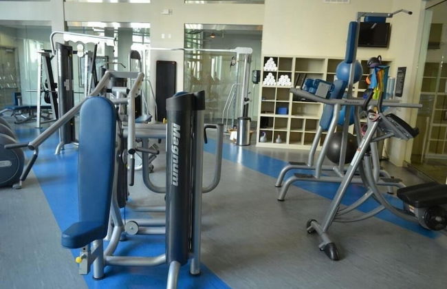 Luxury Living at City Center Houston - Photo 11