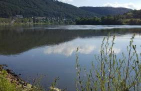 Sabershausen Landhof Sonne - Foto 58