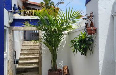 Charmingly Renovated Village House in Sintra, Penedo - Photo 9