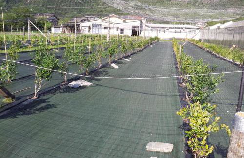 Agriturismo Al Palaz - Foto 24